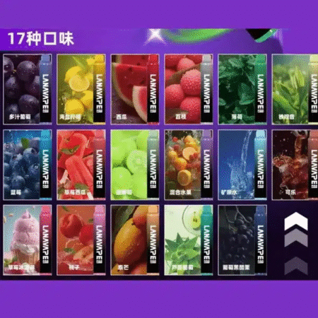 【滿十送一】LANA ZOLT拋棄式8000口一次性 (可充電)